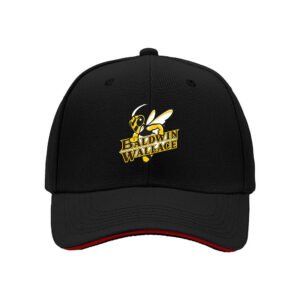 Baldwin Wallace Yellow Jackets Men's Baseball Cap Gift